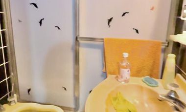 CASA DESARROLLADA EN DOS PLANTAS, COCHERA Y FONDO LIBRE, LOTE PROPIO 270m2