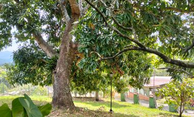 CASA CAMPESTRE - ANAPOIMA - ALTO DEL TIGRE
