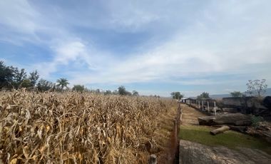 Rancho en Venta en El Salitre Jalisco