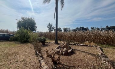 Rancho en Venta en El Salitre Jalisco