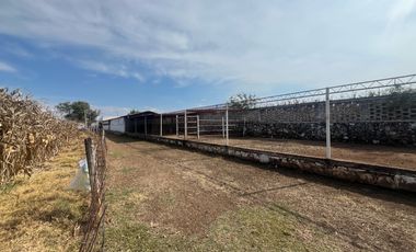 Rancho en Venta en El Salitre Jalisco