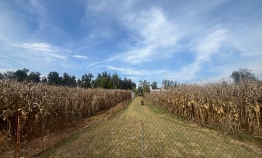 Rancho en Venta en El Salitre Jalisco
