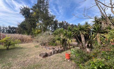 Rancho en Venta en El Salitre Jalisco