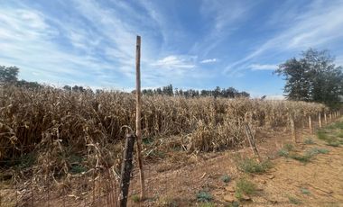 Rancho en Venta en El Salitre Jalisco