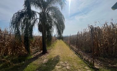 Rancho en Venta en El Salitre Jalisco