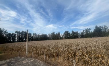 Rancho en Venta en El Salitre Jalisco