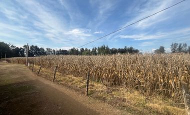 Rancho en Venta en El Salitre Jalisco
