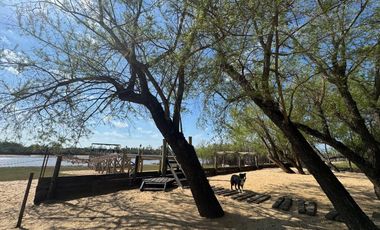 VENTA: Casa en la isla en Paraná Viejo de tres dormitorios con galería y muelle, amoblada. Rosario