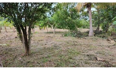 LOTE EN VENTA EN COVEÑAS SUCRE