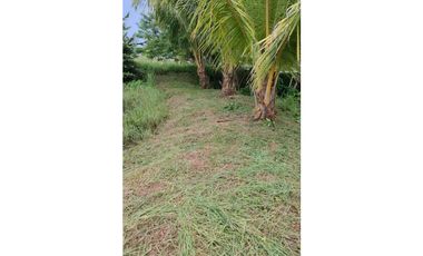 LOTE EN VENTA EN COVEÑAS SUCRE
