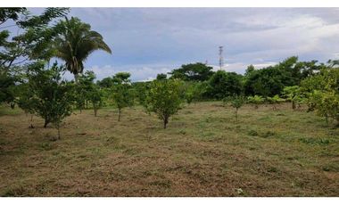LOTE EN VENTA EN COVEÑAS SUCRE