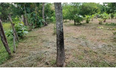 LOTE EN VENTA EN COVEÑAS SUCRE