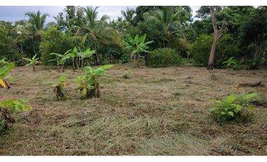 LOTE EN VENTA EN COVEÑAS SUCRE