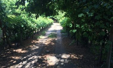 ARRIENDO CABAÑA FULL EQUIPADA, 8 PERSONAS