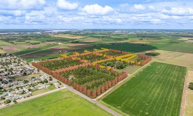 Terreno en General Lagos