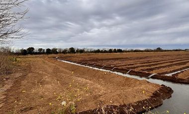 VENTA DE 3.2  HECTAREAS EN VILLA ESQUIU. CORDOBA