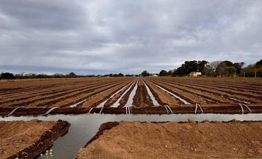 VENTA DE 3.2  HECTAREAS EN VILLA ESQUIU. CORDOBA