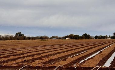 VENTA DE 3.2  HECTAREAS EN VILLA ESQUIU. CORDOBA