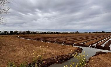 VENTA DE 3.2  HECTAREAS EN VILLA ESQUIU. CORDOBA