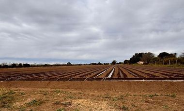 VENTA DE 3.2  HECTAREAS EN VILLA ESQUIU. CORDOBA