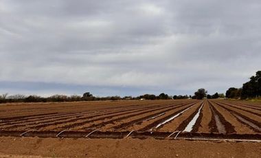 VENTA DE 3.2  HECTAREAS EN VILLA ESQUIU. CORDOBA