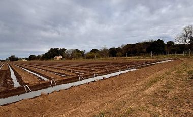 VENTA DE 3.2  HECTAREAS EN VILLA ESQUIU. CORDOBA