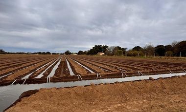 VENTA DE 3.2  HECTAREAS EN VILLA ESQUIU. CORDOBA