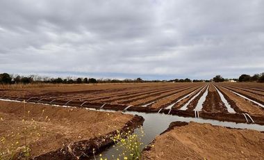 VENTA DE 3.2  HECTAREAS EN VILLA ESQUIU. CORDOBA