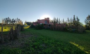Quinta - La Plata
