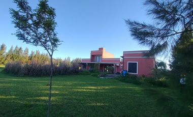 Quinta - La Plata