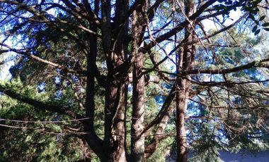 VENTA TERRENO en Ranelagh