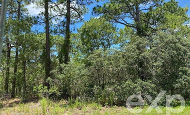 Parcela en Venta en Condominio Lomas de Monte Verde