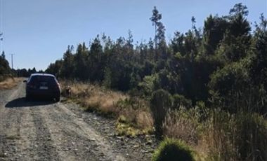 Parcela en Venta en Condominio Lomas de Monte Verde