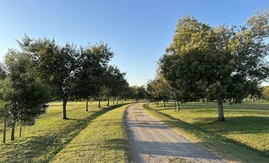 Terreno en El Mirador