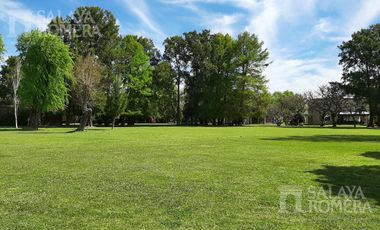 Casa Isla Santa Monica  5 Dormitorios  3 Pisos