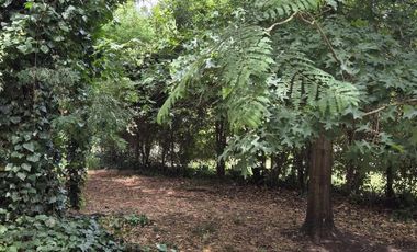 Casa en Bosque Peralta Ramos