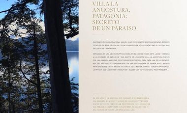 AKOL PATAGONIA LAKE RESORT - VILLA LA ANGOSTURA