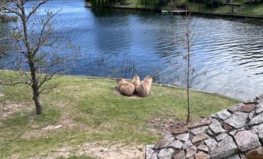 Casa 5 ambientes en Los Alisos Con Pileta