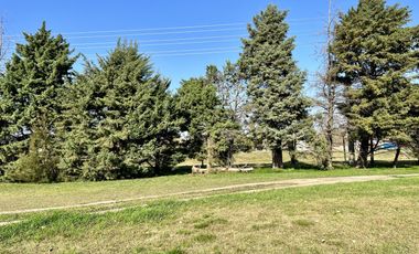 Terreno en  Ibarlucea sobre Colectora