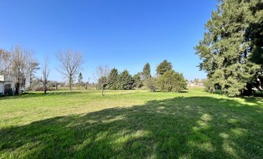 Terreno en  Ibarlucea sobre Colectora
