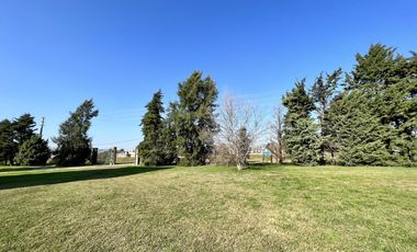 Terreno en  Ibarlucea sobre Colectora