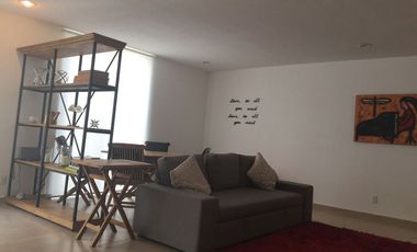 Departamento en planta baja amueblado y con jardin en Juriquilla