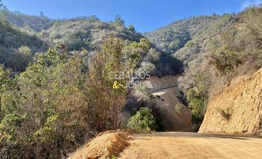 Parcela en Venta en Los Perales, Quilpué.