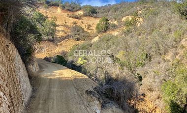 Parcela en Venta en Los Perales, Quilpué.