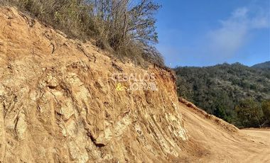 Parcela en Venta en Los Perales, Quilpué.