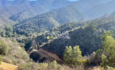 Parcela en Venta en Los Perales, Quilpué.
