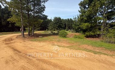 Pichilemu, Gran Oportunidad en Las Comillas