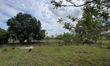 Venta de casa campestre El Faro 2, Montería: 4 habitaciones, 3 baños y lote de 4.800 m² salón grande y kioskos de lujo