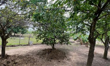 Venta de casa campestre El Faro 2, Montería: 4 habitaciones, 3 baños y lote de 4.800 m² salón grande y kioskos de lujo