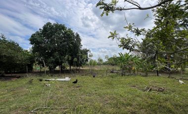 Venta de casa campestre El Faro 2, Montería: 4 habitaciones, 3 baños y lote de 4.800 m² salón grande y kioskos de lujo